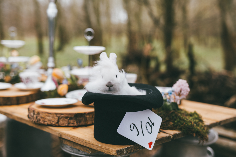 Alice In Wonderland Wedding With Alternative Bridal Style