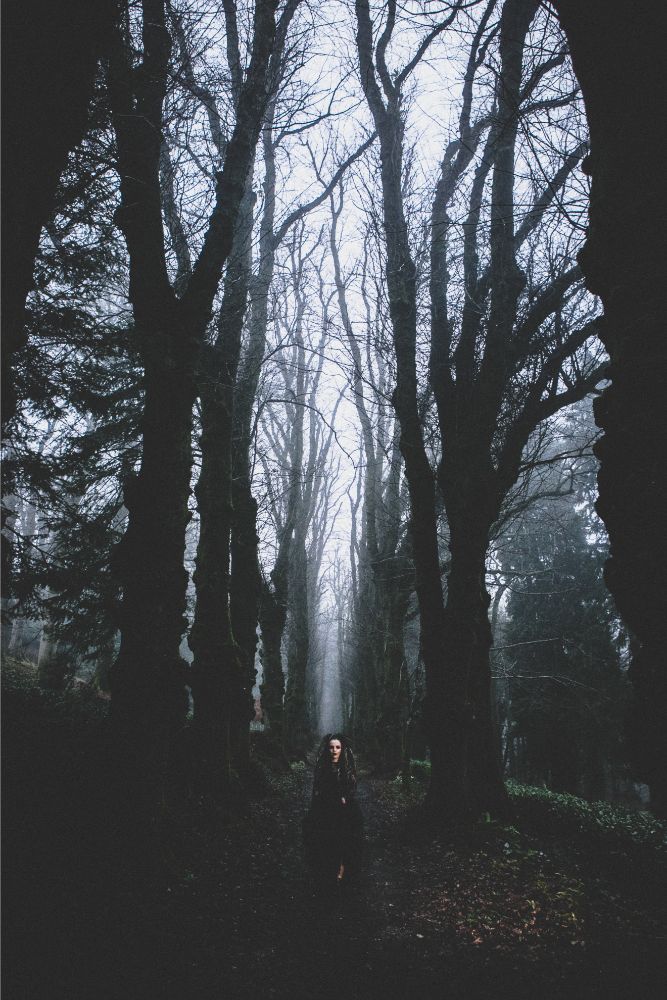 Goth Wedding Inspiration With Black Wedding Dress and Veil