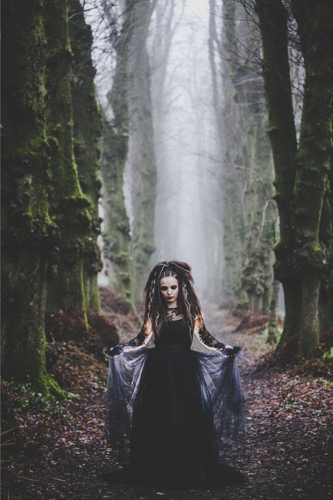 Goth Wedding Inspiration With Black Wedding Dress and Veil