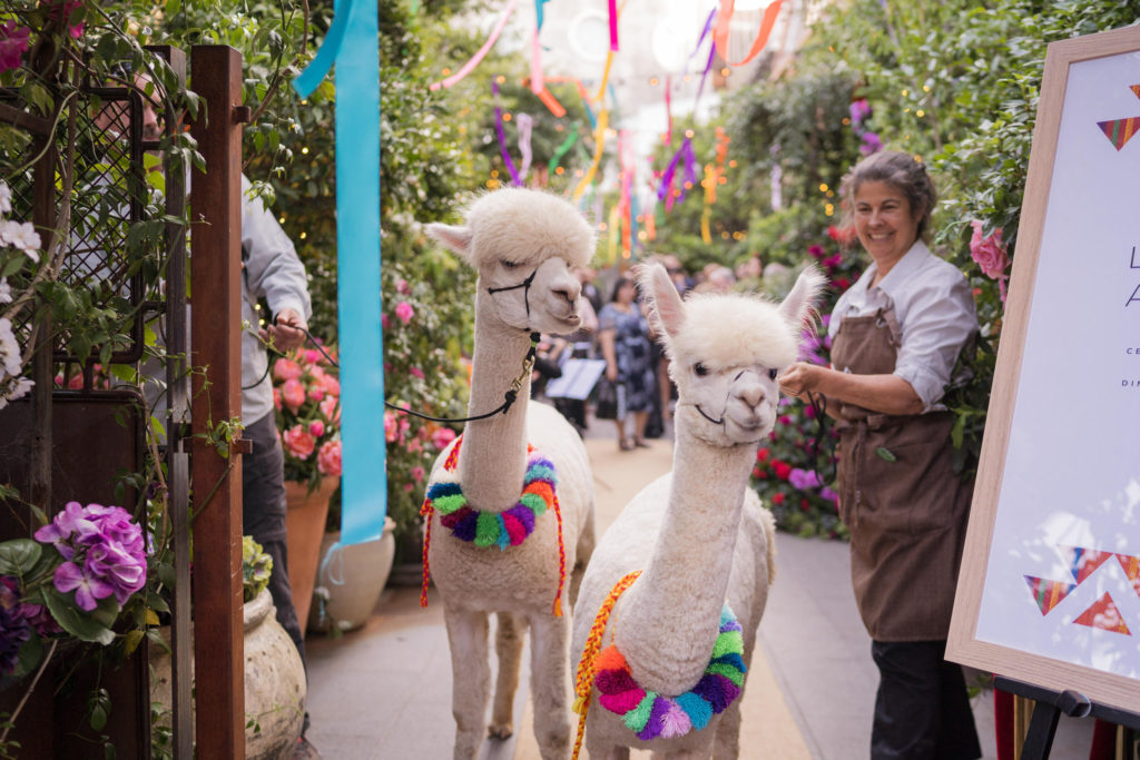 Bright Colourful Wedding in Sydney With South American Vibes