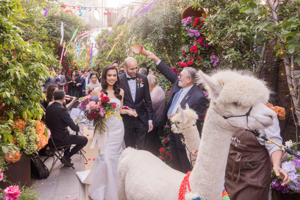 Bright Colourful Wedding in Sydney With South American Vibes