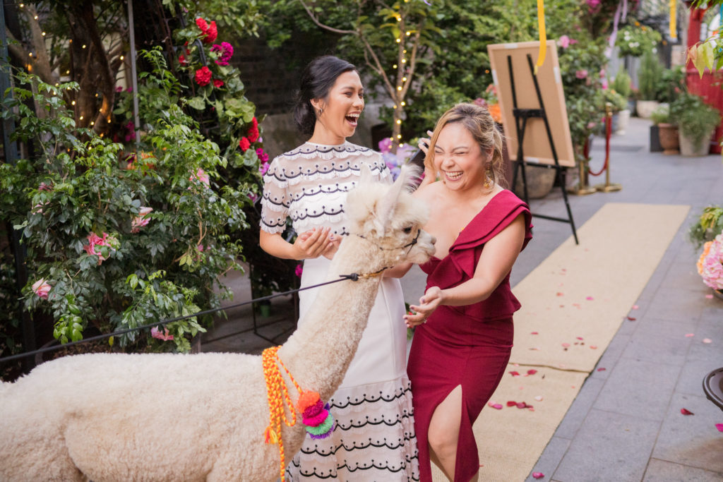 Bright Colourful Wedding in Sydney With South American Vibes