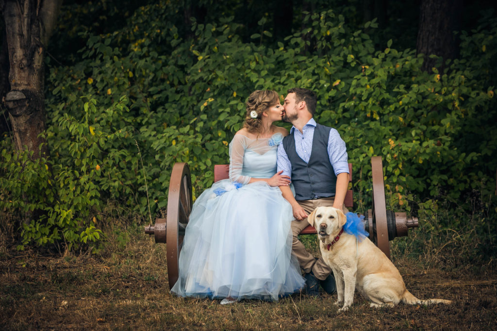 Rustic Outdoor Wedding With Blue Tulle Wedding Dress and a Labrador