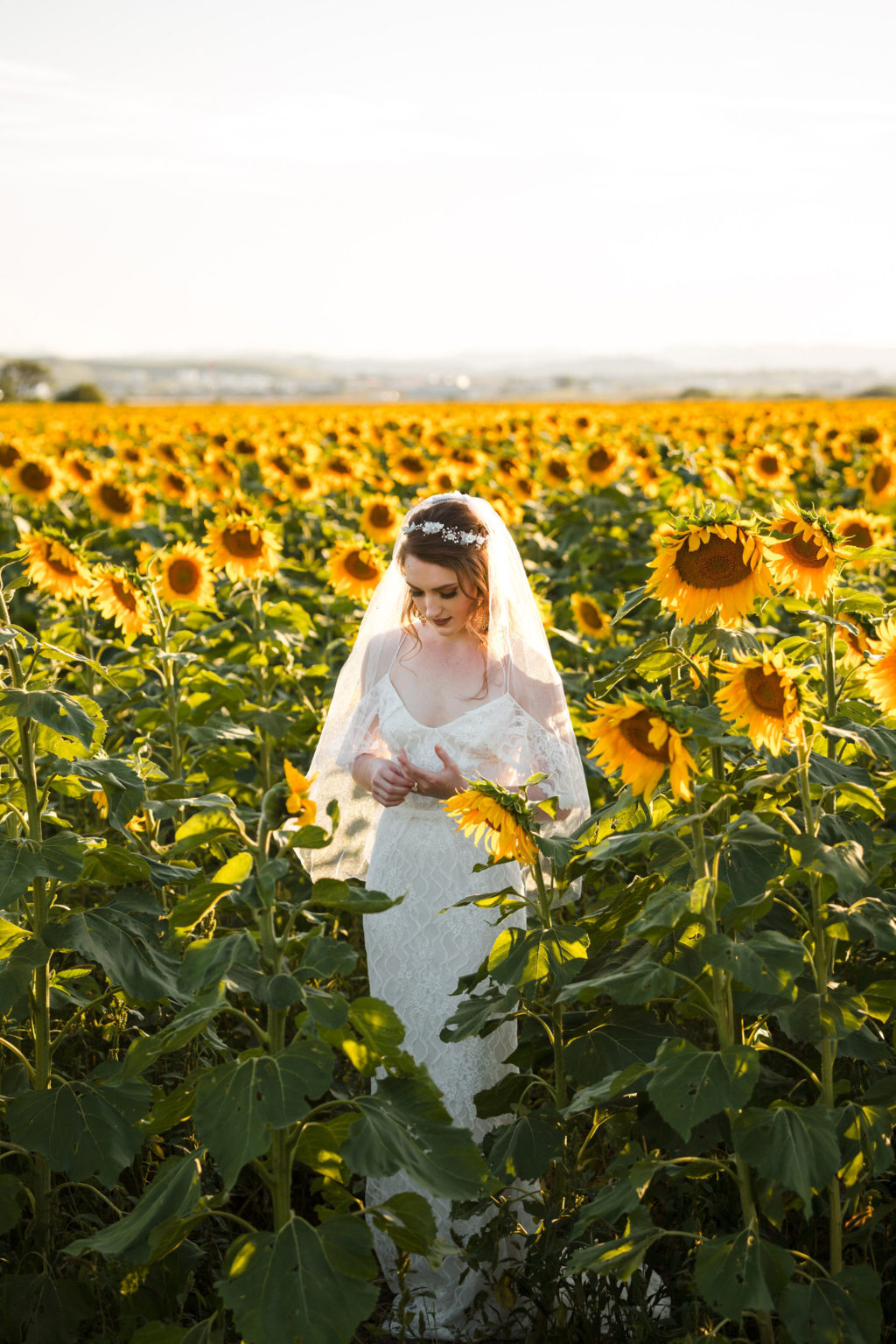 Sunflower Wedding Inspiration at Black Hills South Dakota