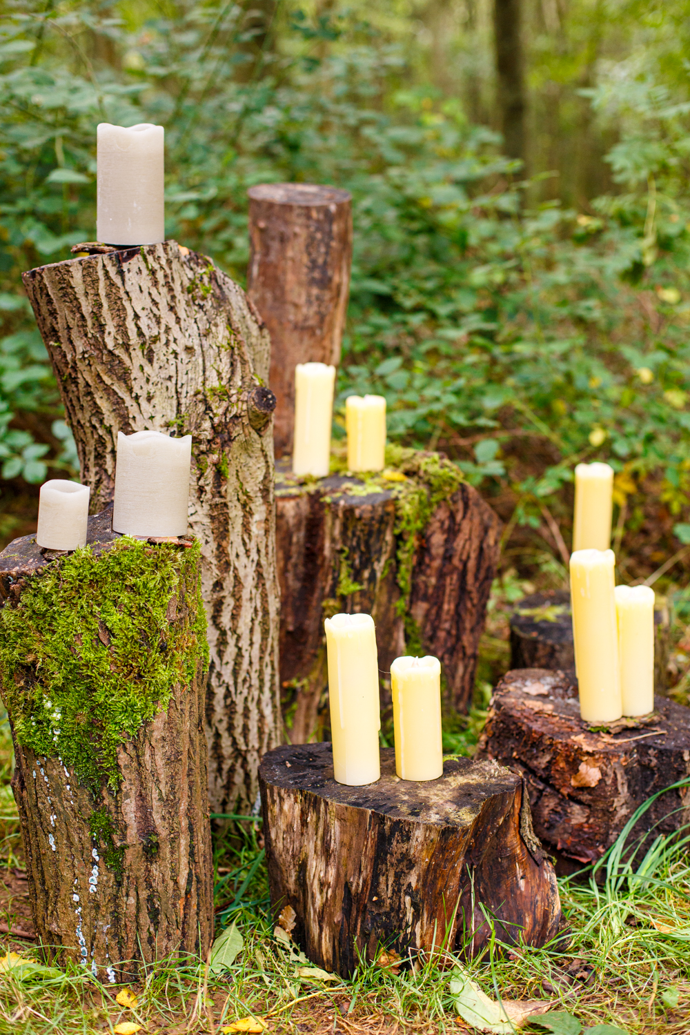 Woodland Wedding in The Cotswolds with Winter Red Styling and a Dog