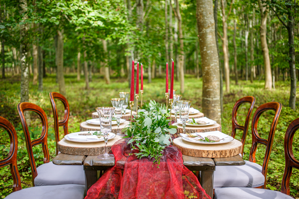 Woodland Wedding in The Cotswolds with Winter Red Styling and a Dog