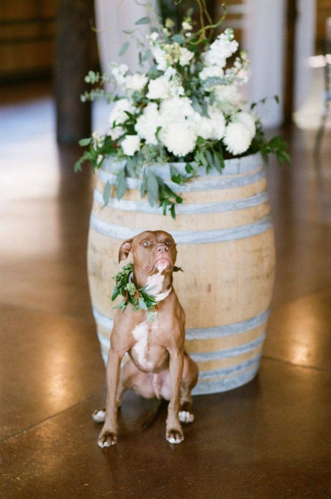 Chic Mountain Ranch Winter Wedding at Albert’s Lodge, Colorado, USA