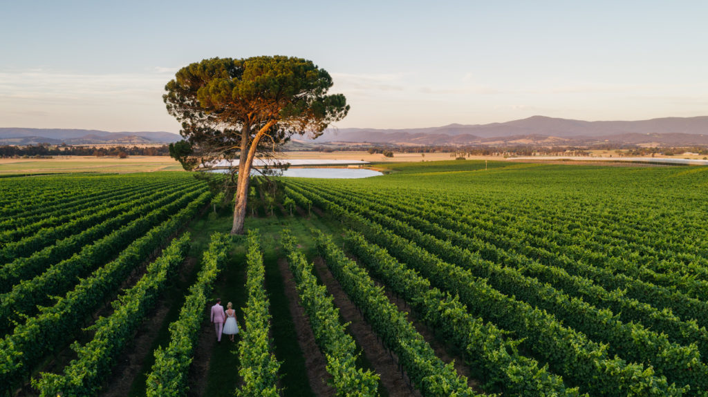 Vintage Ballet Wedding In The Australian Countryside 