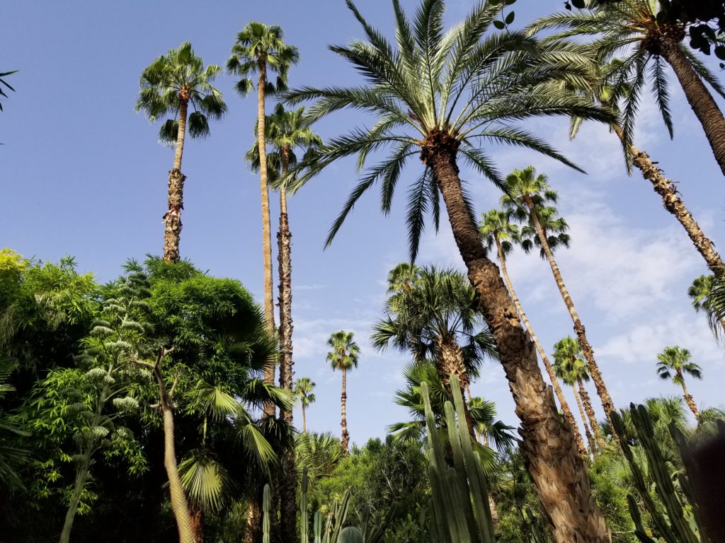 Marrakesh Honeymoons- the perfect mini moon or pamper weekend destination at Riad Spice - Marjorelle Gardens