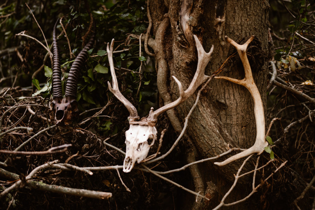 Dark Romantic Outdoor Wedding Inspiration at Upthorpe Wood, Suffolk