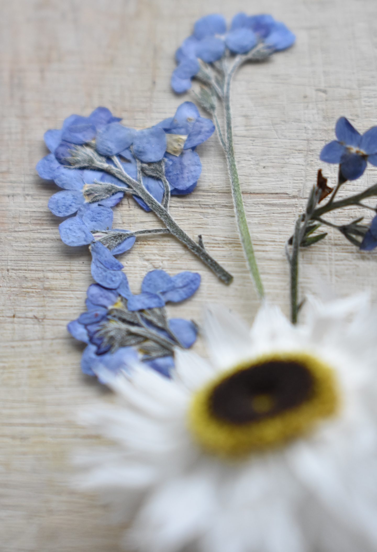 How To Dry Wedding Flowers To Keep Them Forever