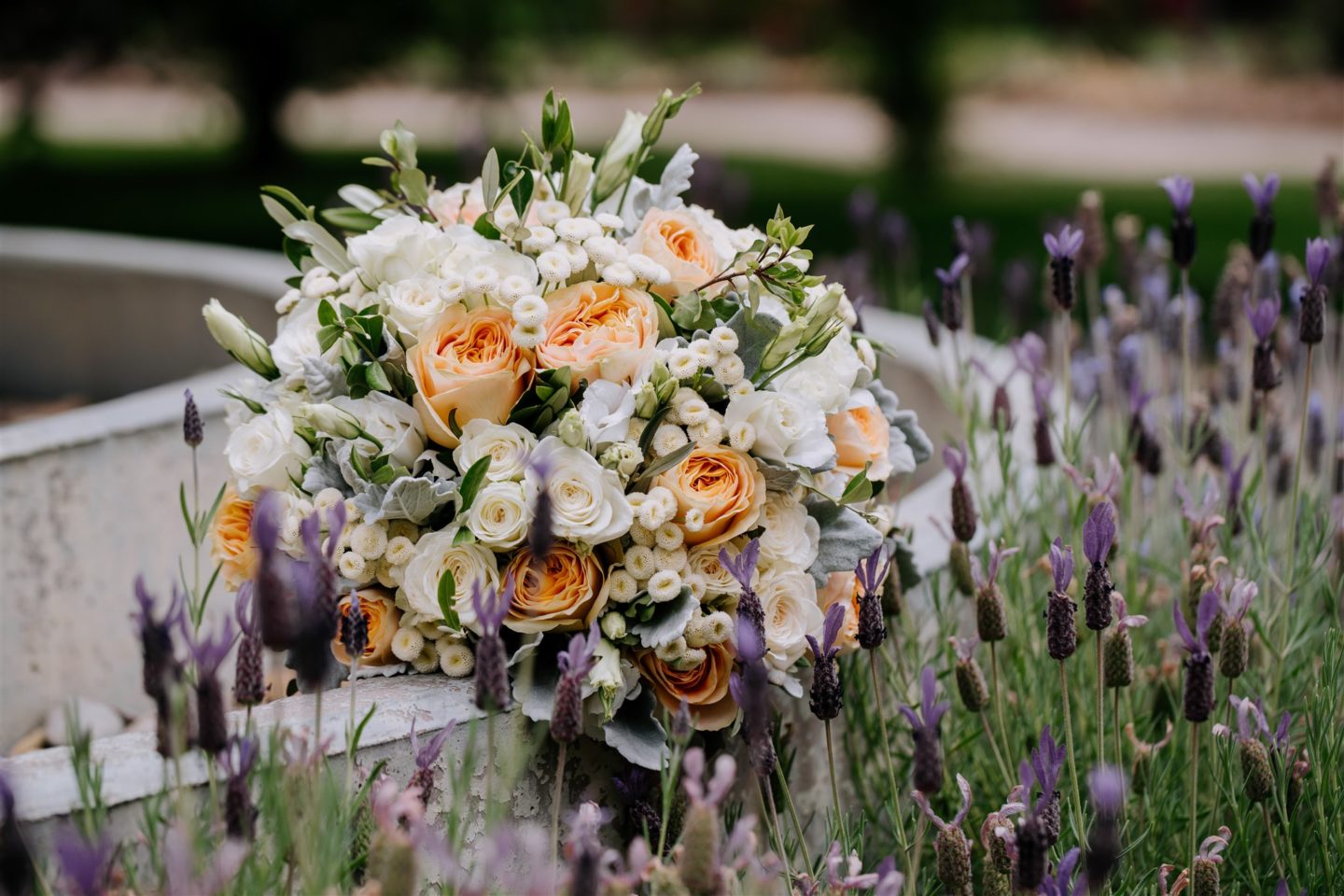 Romantic Vineyard Wedding In Yarra Valley Australia 