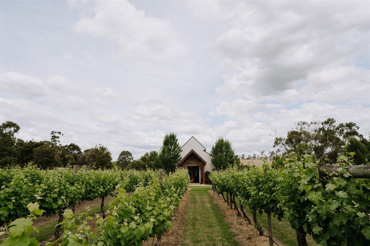 Romantic Vineyard Wedding In Yarra Valley Australia 