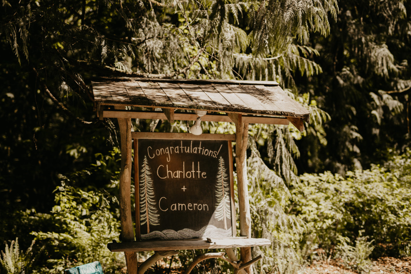 Intimate Woodland Wedding at Treehouse Point, Seattle