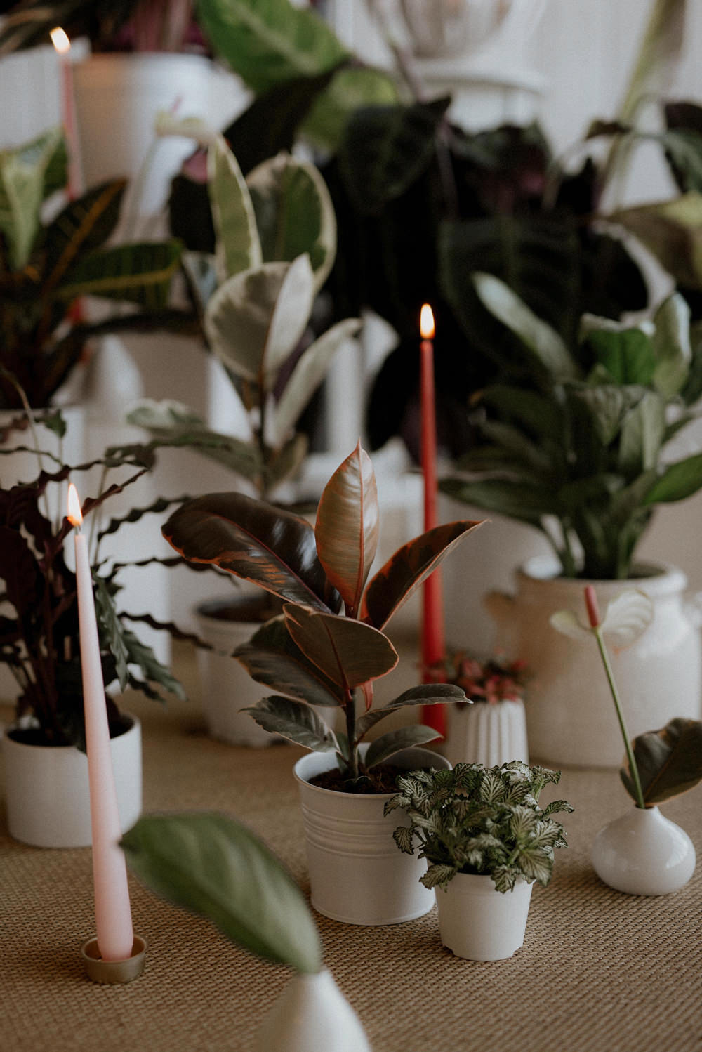 Modern Botanical Outdoor Wedding Inspiration at Primrose Hill Farm, Oxfordshire