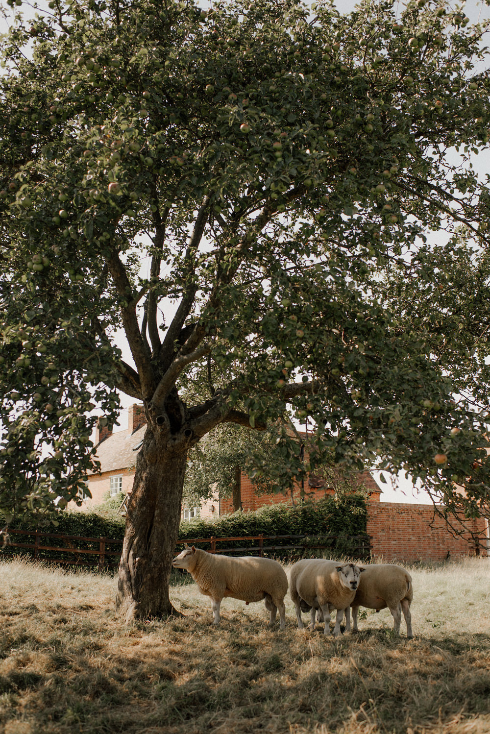 Modern Botanical Outdoor Wedding Inspiration at Primrose Hill Farm, Oxfordshire