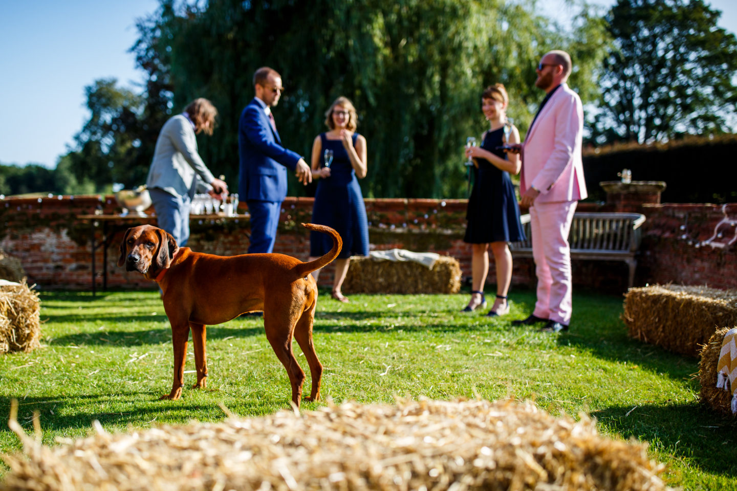 An Intimate and Ethical Civil Partnership At Boxted Hall, Suffolk