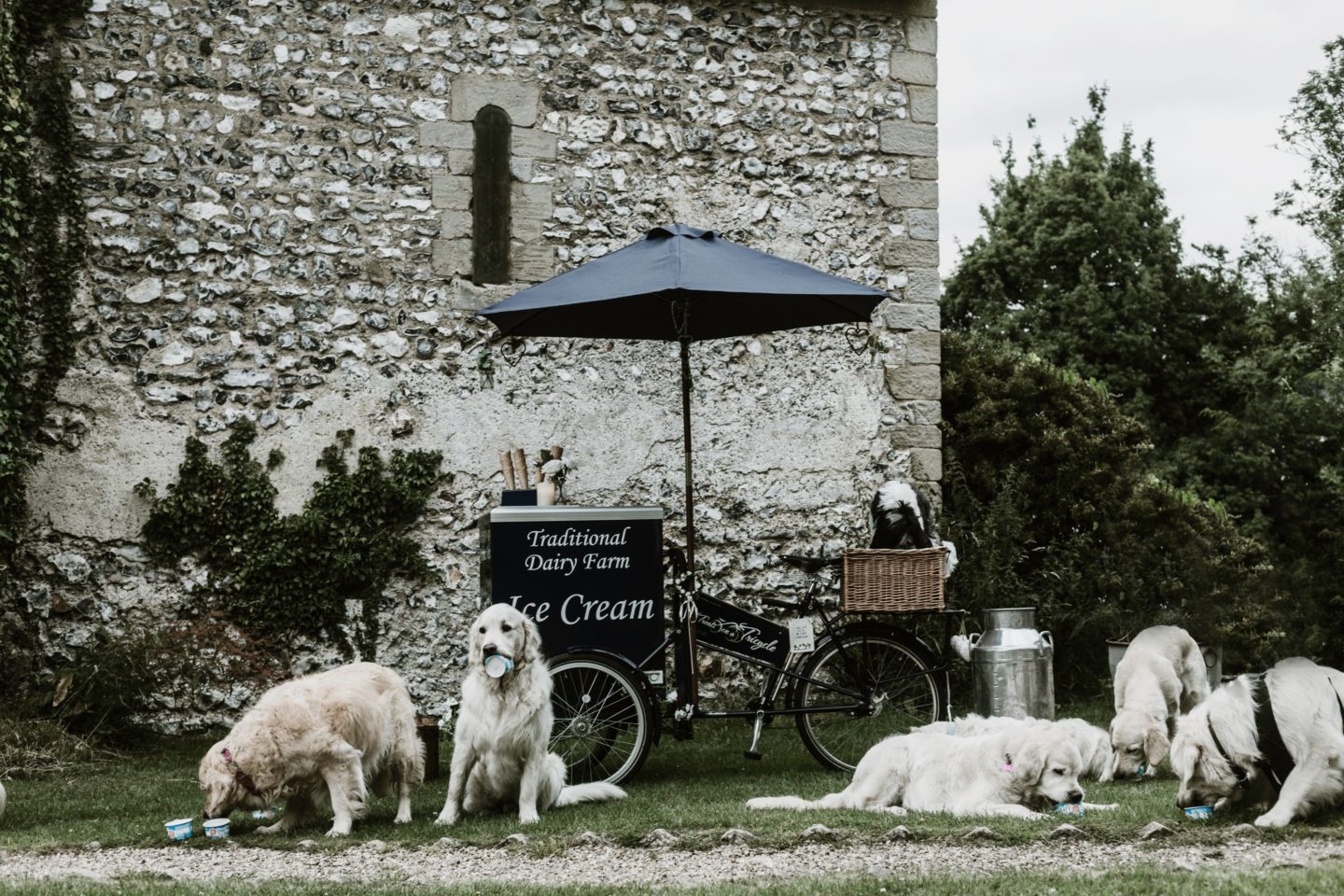 Dog Wedding With Doggy Ice Cream Reception at The Lost Village of Dode Kent