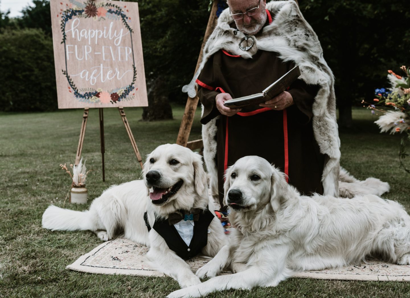 Dog Wedding With Doggy Ice Cream Reception at The Lost Village of Dode Kent