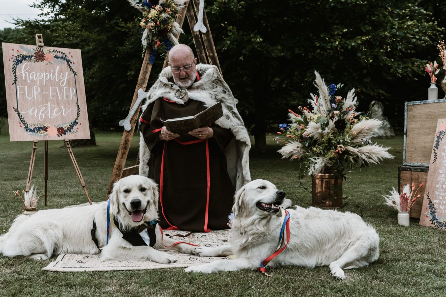 Dog Wedding With Doggy Ice Cream Reception at The Lost Village of Dode Kent