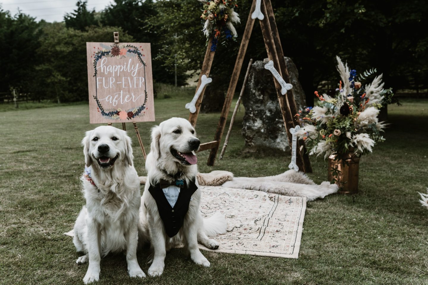 Dog Wedding With Doggy Ice Cream Reception at The Lost Village of Dode Kent