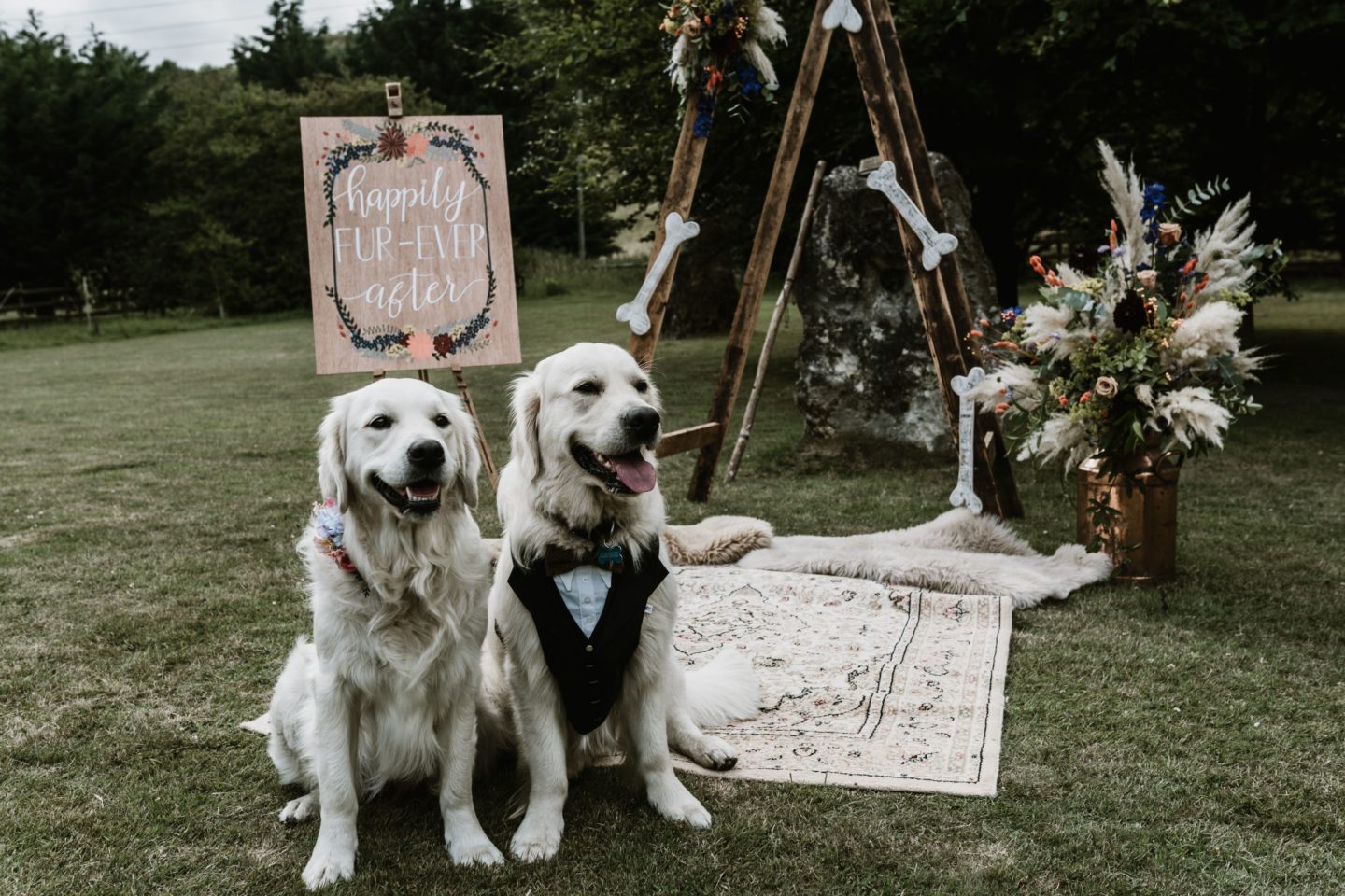 Dog Wedding With Doggy Ice Cream Reception at The Lost Village of Dode Kent