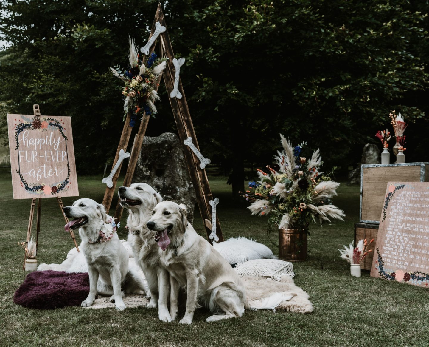 Dog Wedding With Doggy Ice Cream Reception at The Lost Village of Dode Kent