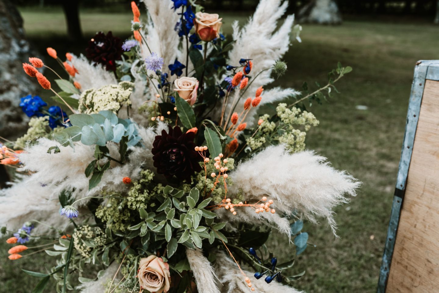 Dog Wedding With Doggy Ice Cream Reception at The Lost Village of Dode Kent