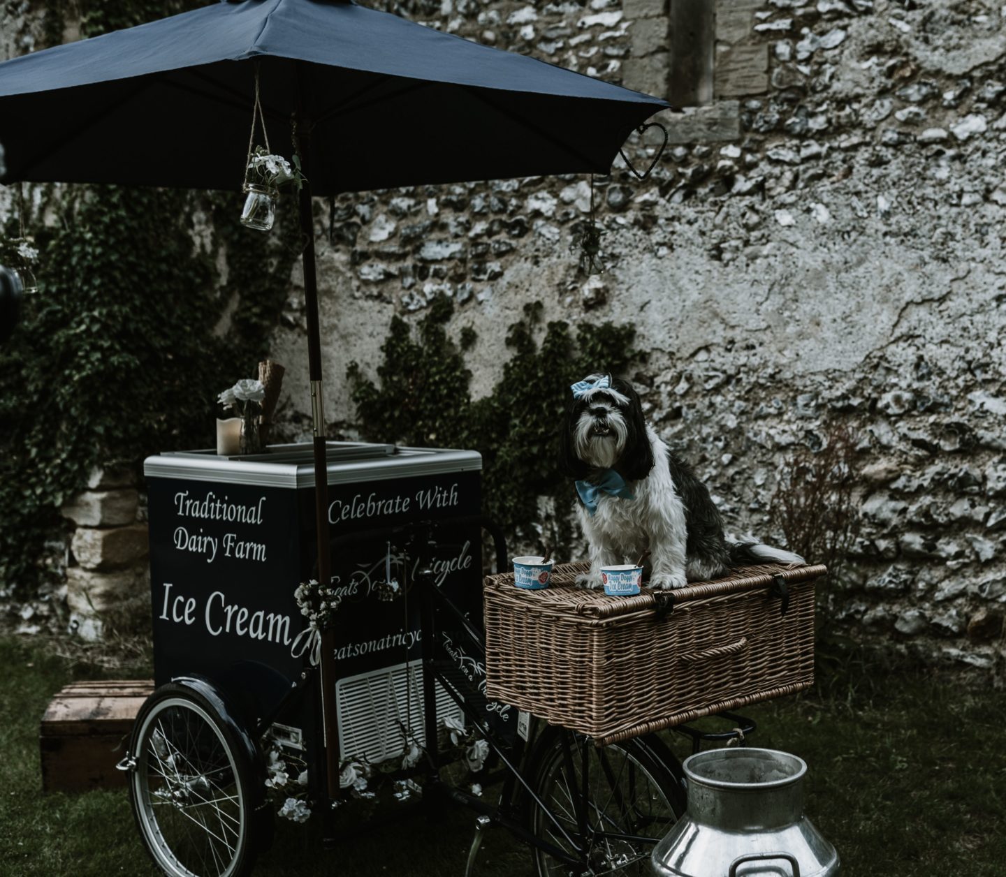 Dog Wedding With Doggy Ice Cream Reception at The Lost Village of Dode Kent