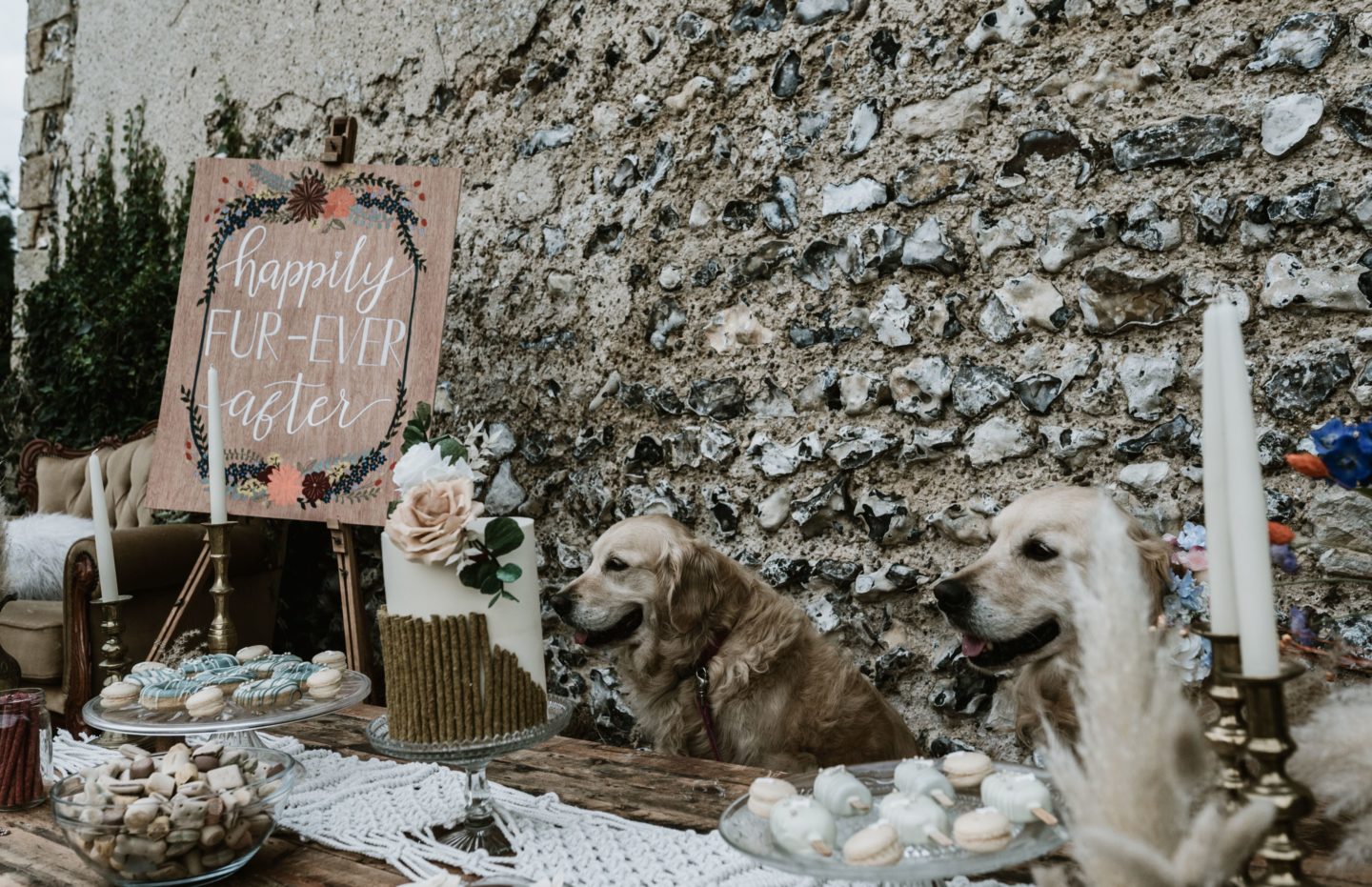 Dog Wedding With Doggy Ice Cream Reception at The Lost Village of Dode Kent