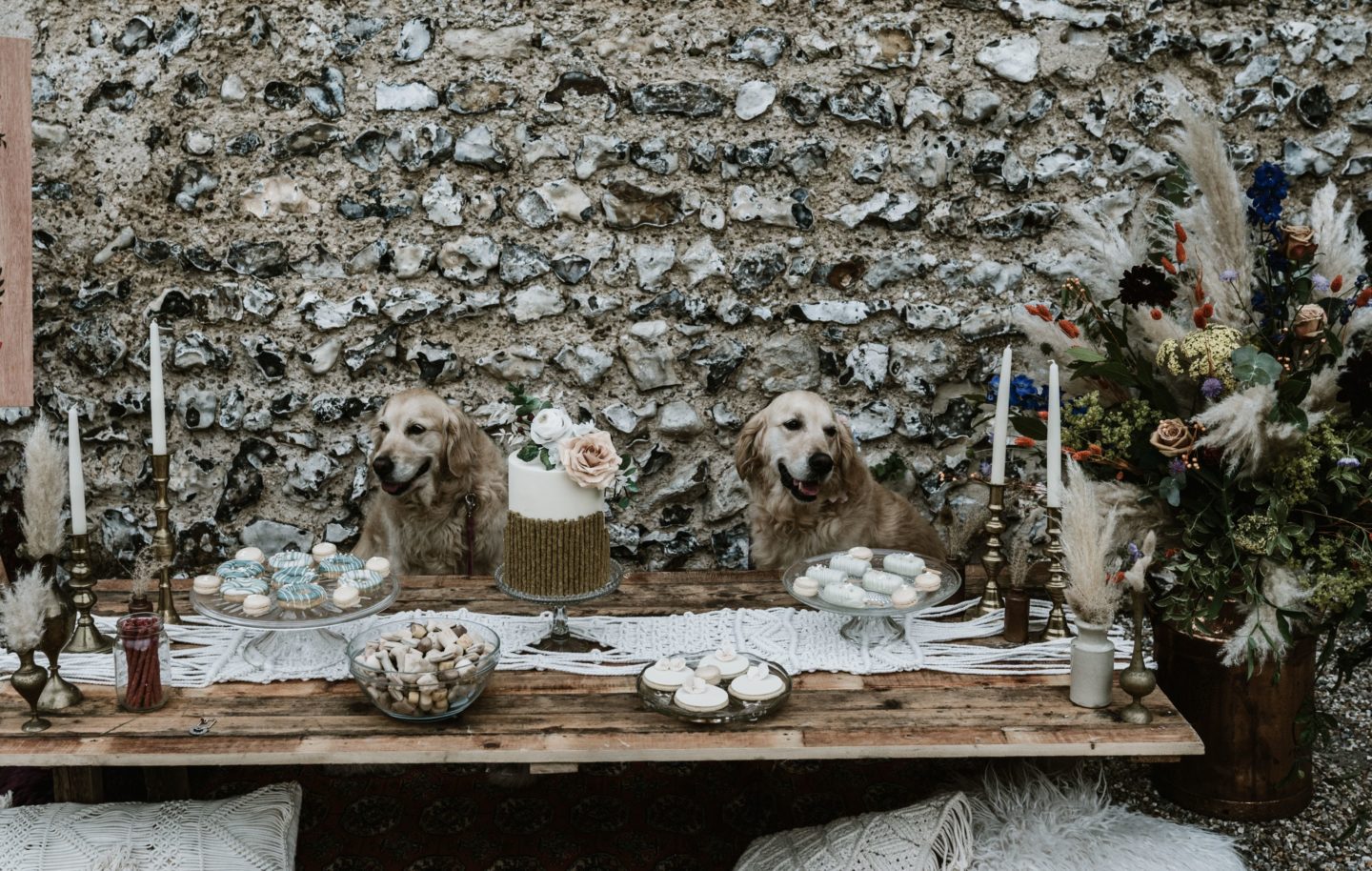 Dog Wedding With Doggy Ice Cream Reception at The Lost Village of Dode Kent