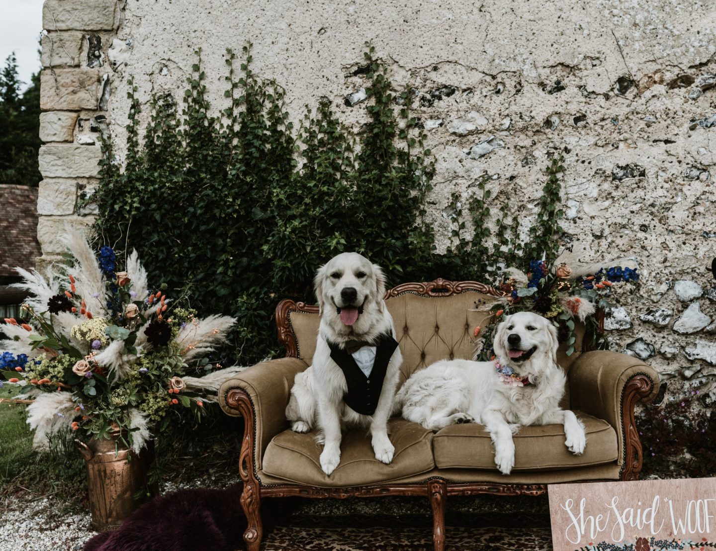 Dog Wedding With Doggy Ice Cream Reception at The Lost Village of Dode Kent