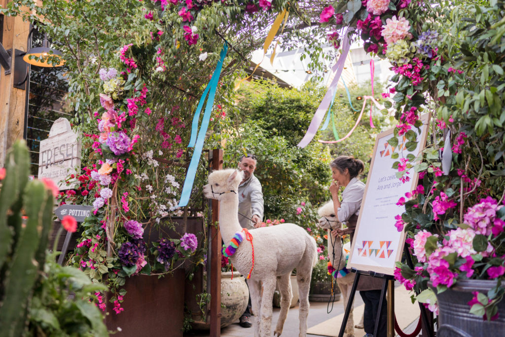 Animals At Weddings: Inspiration for National Dress Up Your Pet Day