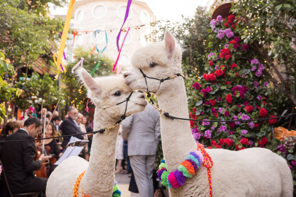 Animals At Weddings: Inspiration for National Dress Up Your Pet Day