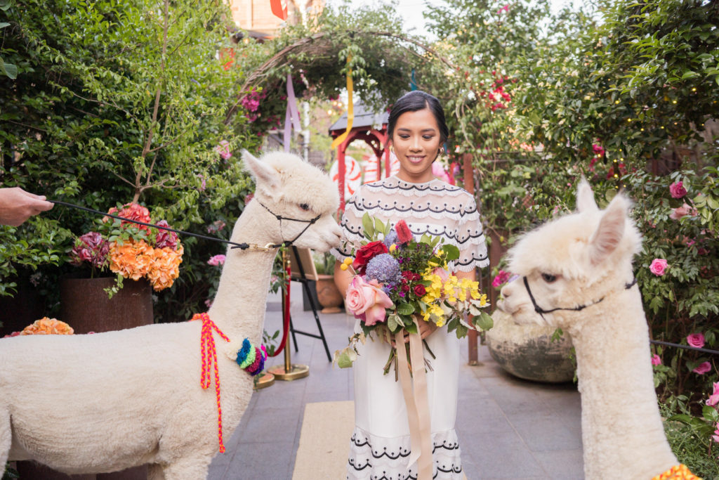 Animals At Weddings: Inspiration for National Dress Up Your Pet Day