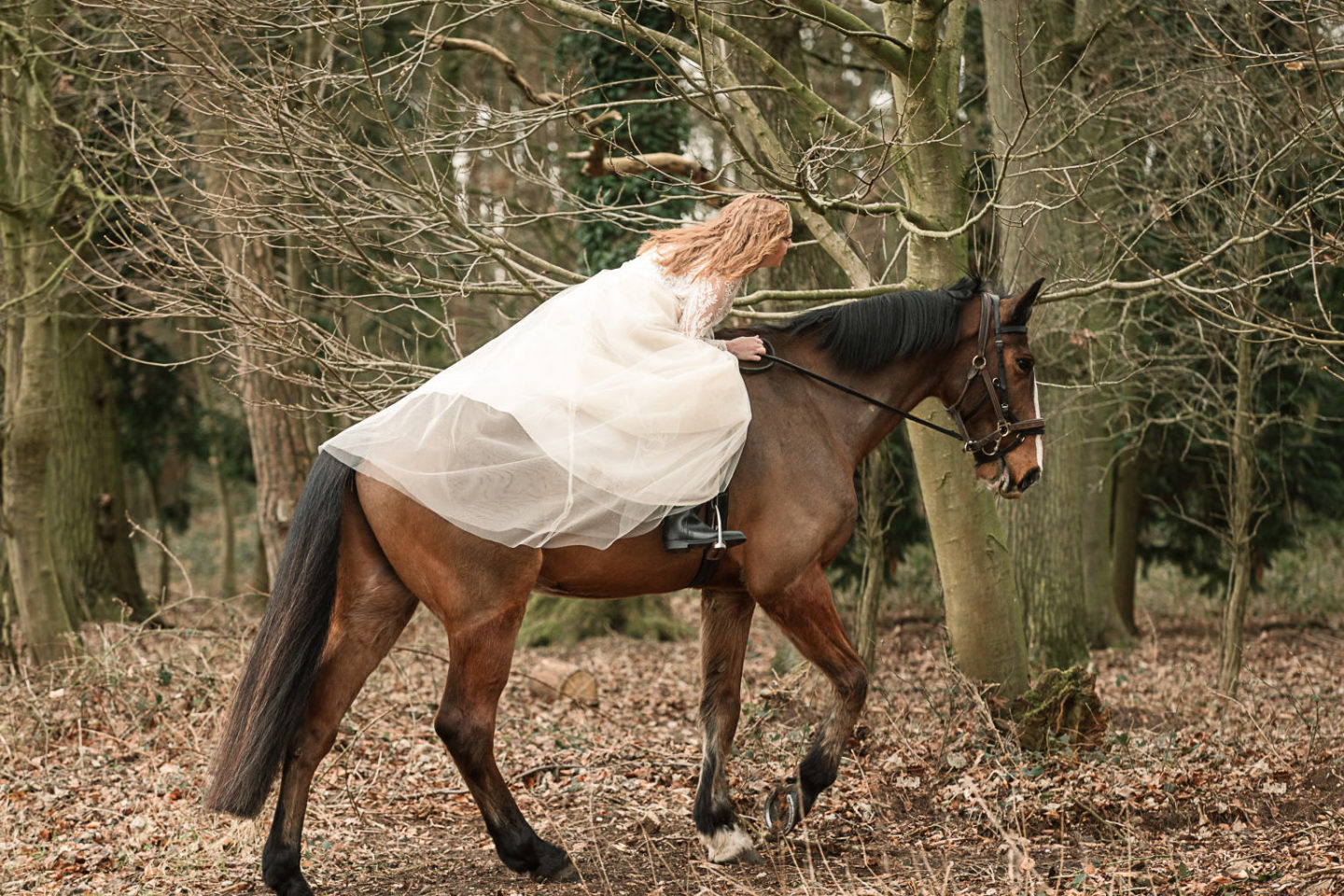 Animals At Weddings: Inspiration for National Dress Up Your Pet Day