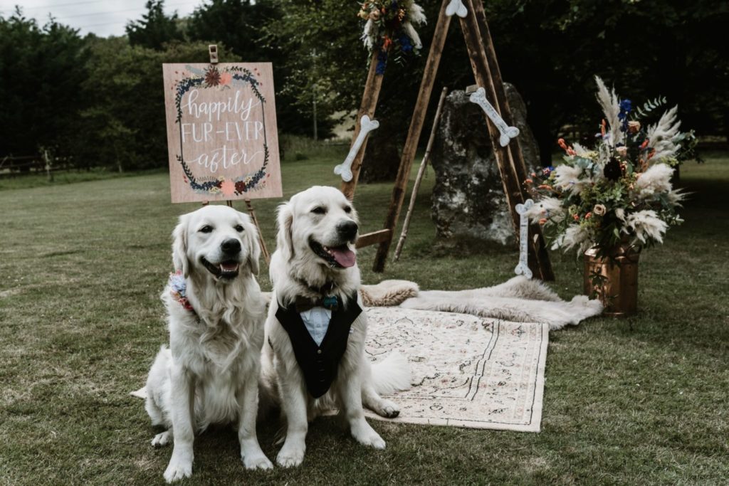 Animals At Weddings: Inspiration for National Dress Up Your Pet Day