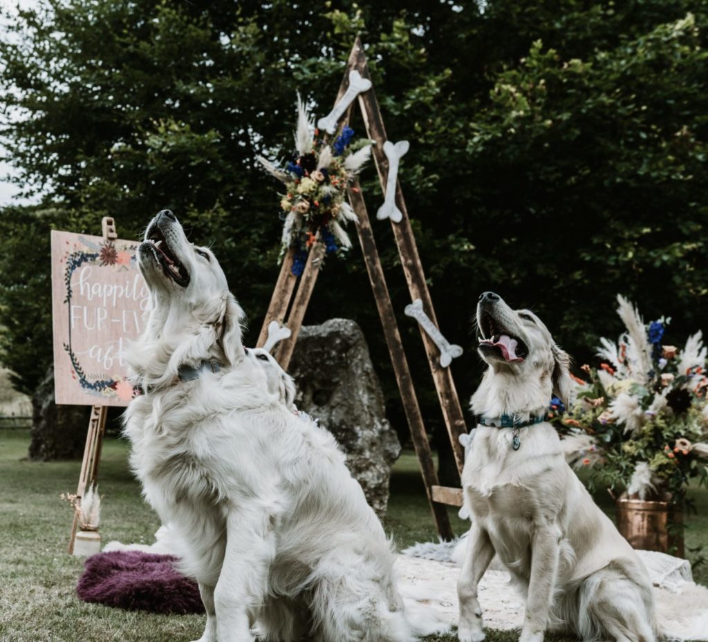 Animals At Weddings: Inspiration for National Dress Up Your Pet Day