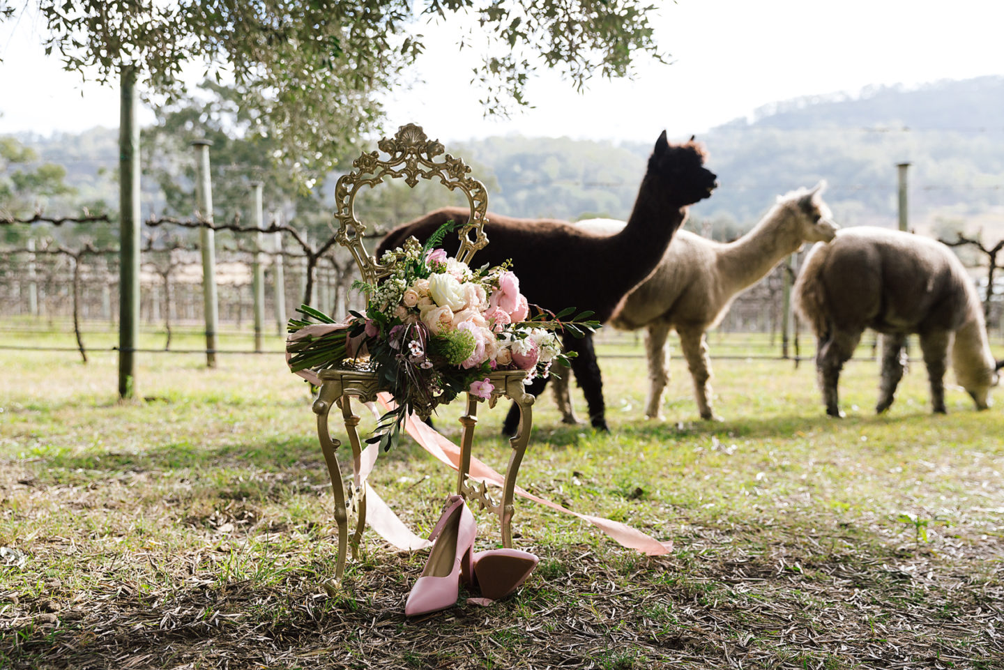 Romantic Vineyard Wedding Inspiration At Sarabah Estate Winery, Australia