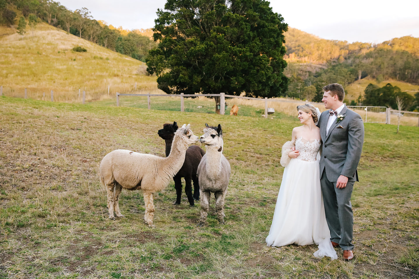 Romantic Vineyard Wedding Inspiration At Sarabah Estate Winery, Australia