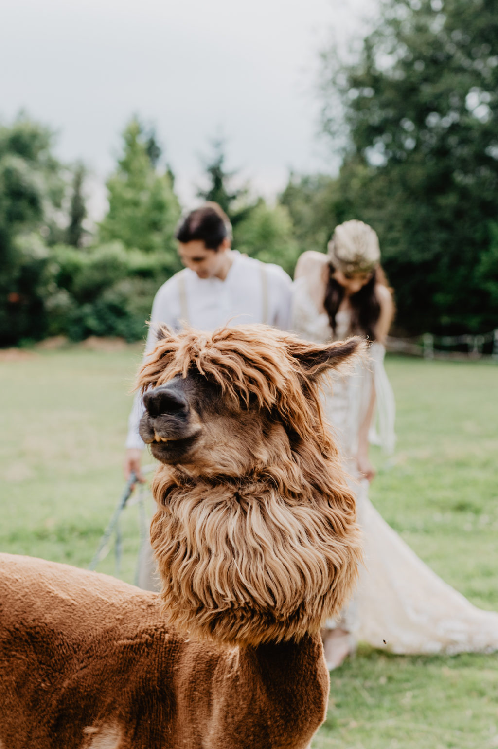 Luxury Boho Wedding With Tropical Vibes in Italy