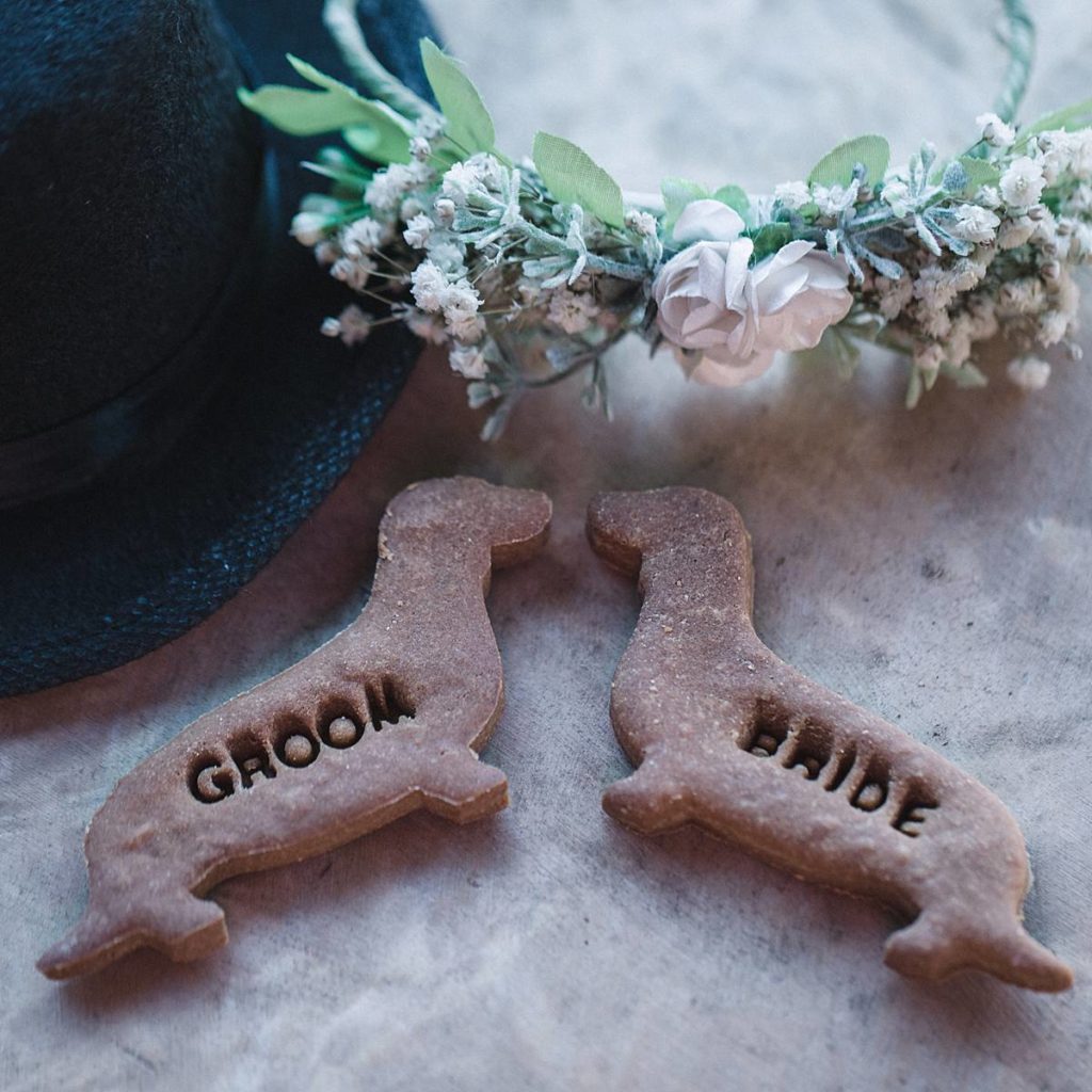 Furrytale Sausage Dog Wedding At Wellington Wood, Norfolk