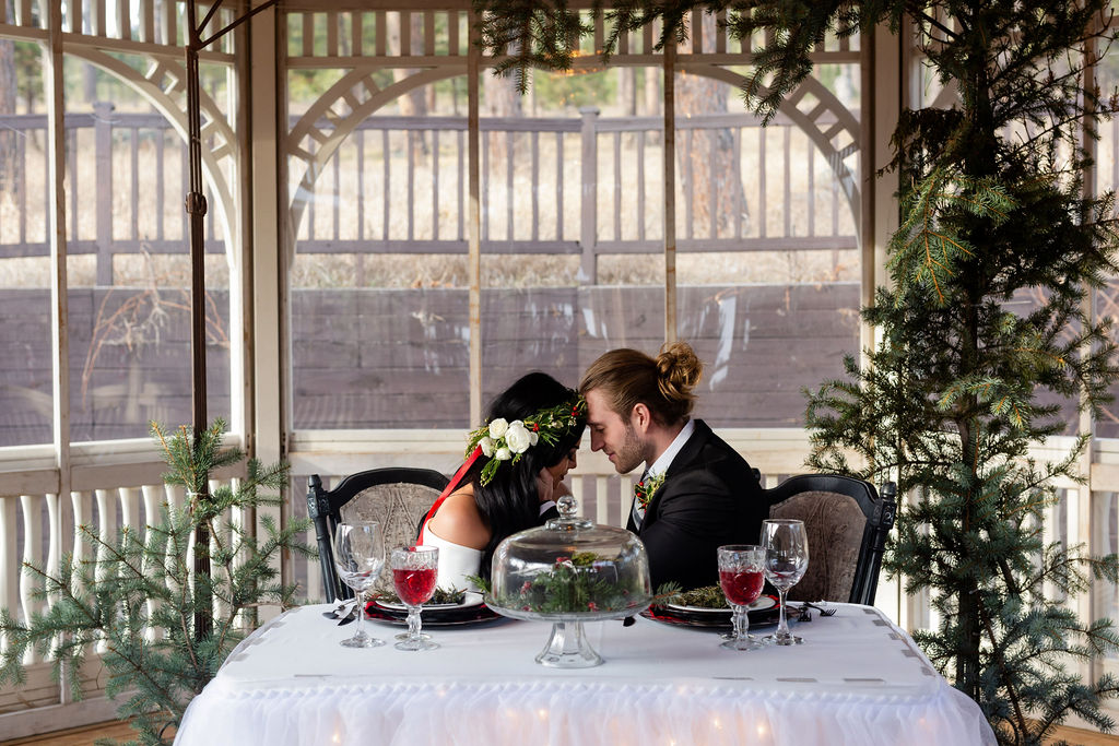 Wonderland Winter Wedding With A Sleigh at Black Hills Receptions, USA