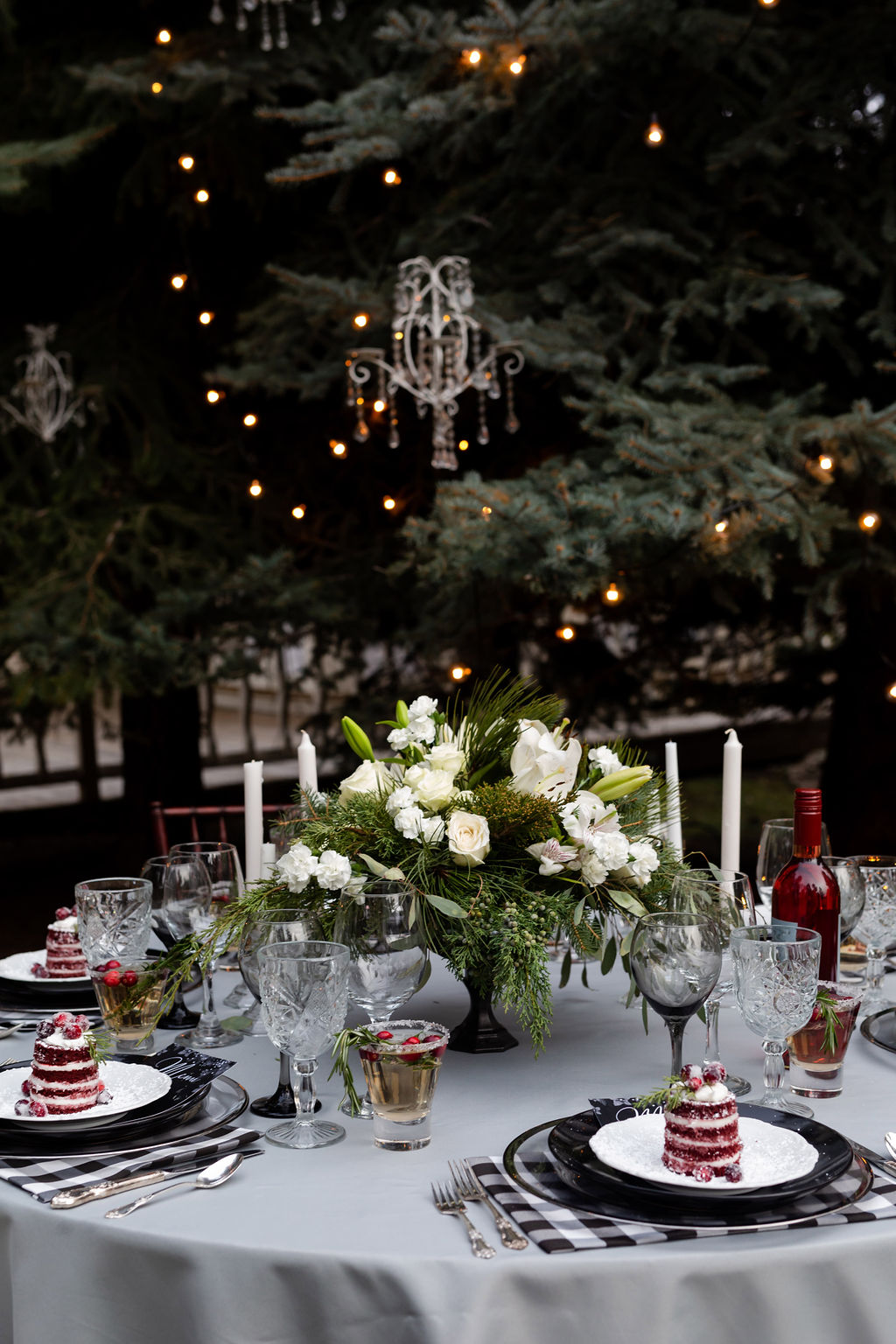 Wonderland Winter Wedding With A Sleigh at Black Hills Receptions, USA