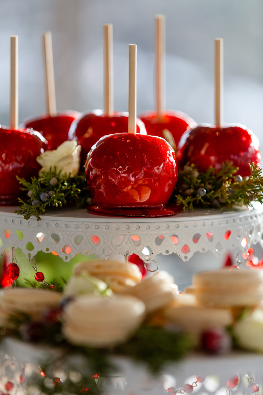 Wonderland Winter Wedding With A Sleigh at Black Hills Receptions, USA