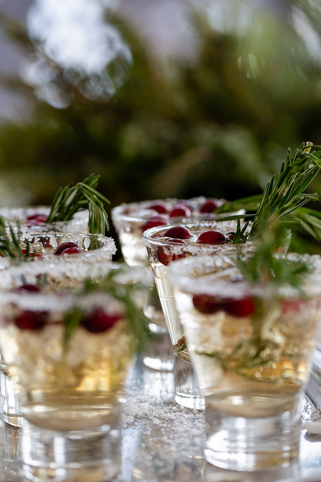 Wonderland Winter Wedding With A Sleigh at Black Hills Receptions, USA