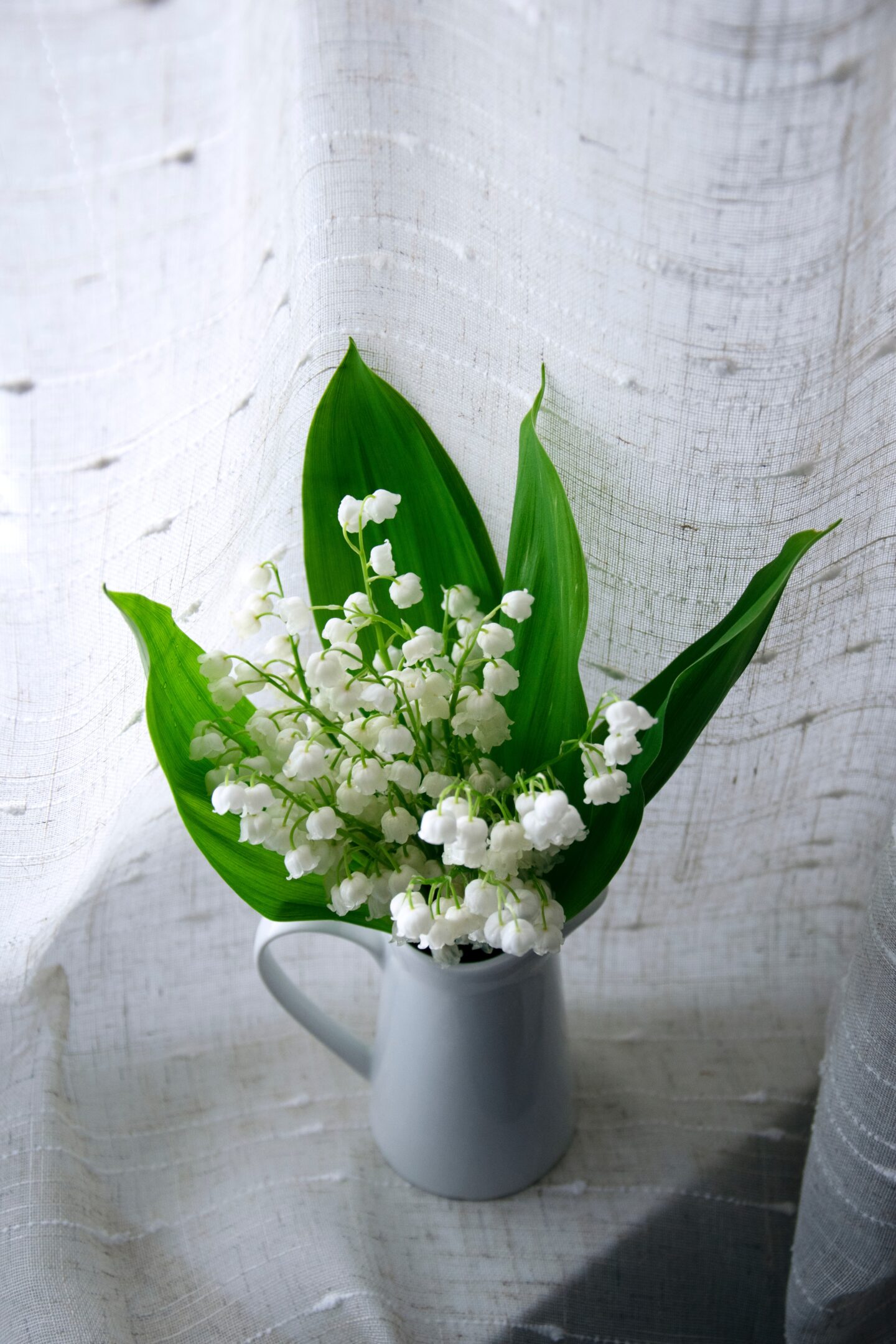 The Best In-Season Spring Wedding Flowers For Your Wedding Day