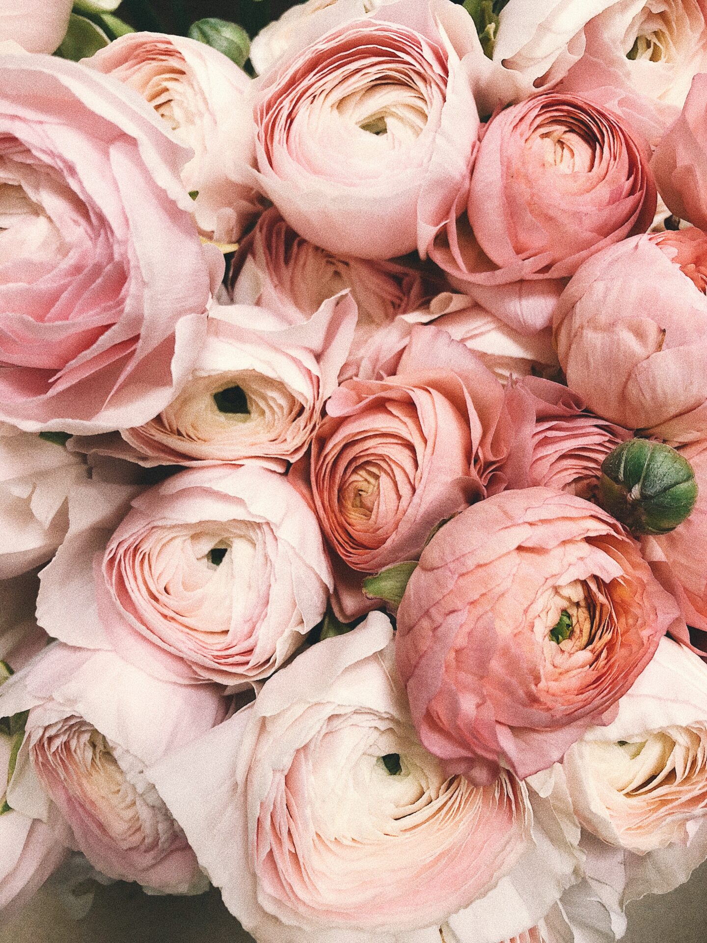 The Best In-Season Summer Wedding Flowers For Your Wedding Day