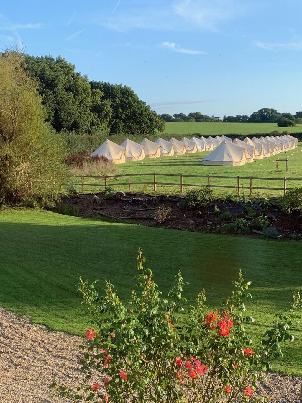 Bell Tent Village awaiting guests