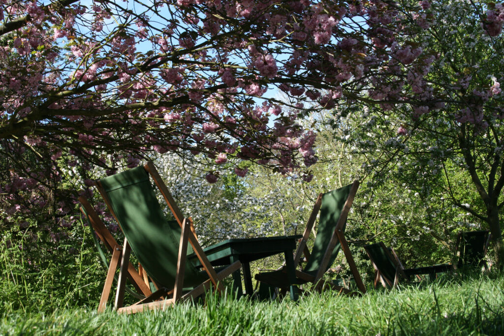 7 Romantic Date Ideas In Cambridge Orchard Tea Garden